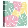 Monstera II Bright on White-Sarah Adams-Stretched Canvas