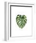 Monstera II-Ann Solo-Framed Art Print