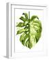 Monstera II-Grace Popp-Framed Art Print