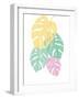 Monstera III Bright on White-Sarah Adams-Framed Art Print