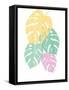 Monstera III Bright on White-Sarah Adams-Framed Stretched Canvas