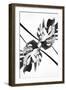 Monstera Kaleidoscope 03-1x Studio III-Framed Photographic Print