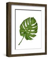 Monstera Leaf 1, Green on White-Fab Funky-Framed Art Print