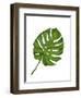 Monstera Leaf 1, Green on White-Fab Funky-Framed Art Print