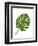 Monstera Leaf 1, Green on White-Fab Funky-Framed Art Print