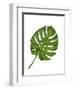 Monstera Leaf 1, Green on White-Fab Funky-Framed Art Print