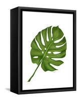 Monstera Leaf 1, Green on White-Fab Funky-Framed Stretched Canvas