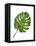 Monstera Leaf 1, Green on White-Fab Funky-Framed Stretched Canvas
