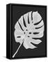 Monstera Leaf 1, White On Black-Fab Funky-Framed Stretched Canvas