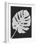 Monstera Leaf 1, White On Black-Fab Funky-Framed Art Print