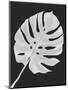 Monstera Leaf 1, White On Black-Fab Funky-Mounted Art Print