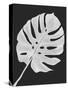 Monstera Leaf 1, White On Black-Fab Funky-Stretched Canvas