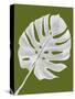 Monstera Leaf 1, White On Green-Fab Funky-Stretched Canvas