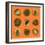 Monstera Leafs-Mything-Framed Art Print