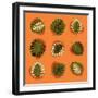 Monstera Leafs-Mything-Framed Art Print