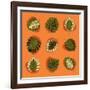 Monstera Leafs-Mything-Framed Art Print