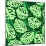 Monstera Leaves on Green Wave Background Pattern-katritch-Mounted Art Print