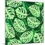 Monstera Leaves on Green Wave Background Pattern-katritch-Mounted Art Print