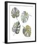 Monstera Leaves-Sandra Jacobs-Framed Giclee Print