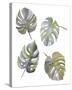 Monstera Leaves-Sandra Jacobs-Stretched Canvas