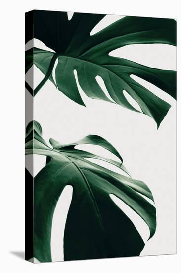 Monstera Natural 12-1x Studio III-Stretched Canvas