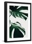 Monstera Natural 12-1x Studio III-Framed Photographic Print