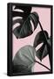 Essential Black