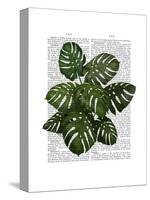 Monstera Plant, Green on White-Fab Funky-Stretched Canvas
