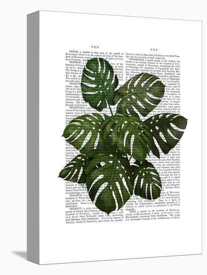 Monstera Plant, Green on White-Fab Funky-Stretched Canvas