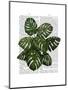 Monstera Plant, Green on White-Fab Funky-Mounted Art Print