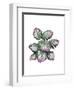 Monstera Plant, Pink and Green-Fab Funky-Framed Art Print