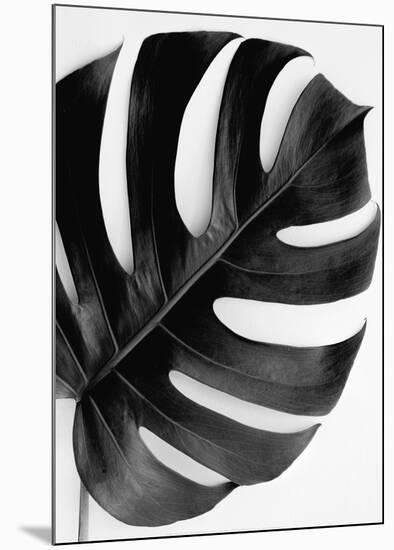 Monstera Solo - Noir-Irene Suchocki-Mounted Art Print