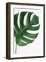 Monstera Solo-Irene Suchocki-Framed Giclee Print