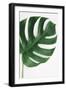 Monstera Solo-Irene Suchocki-Framed Giclee Print