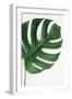 Monstera Solo-Irene Suchocki-Framed Giclee Print