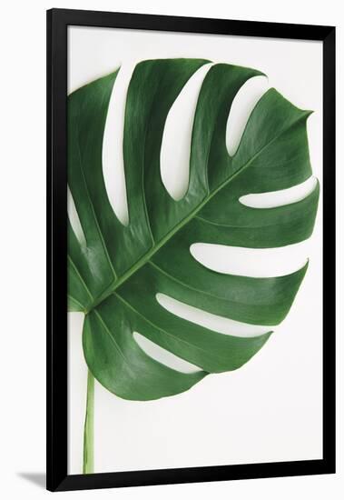 Monstera Solo-Irene Suchocki-Framed Giclee Print