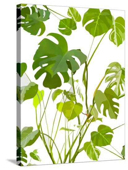 Monstera-Louise Robinson-Stretched Canvas