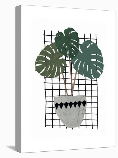 Monstera-Seventy Tree-Stretched Canvas