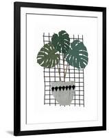 Monstera-Seventy Tree-Framed Giclee Print