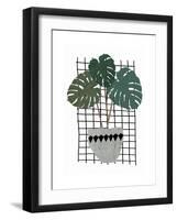 Monstera-Seventy Tree-Framed Giclee Print