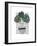 Monstera-Seventy Tree-Framed Giclee Print