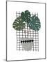 Monstera-Seventy Tree-Mounted Premium Giclee Print