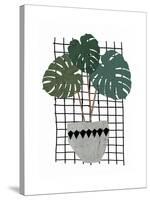 Monstera-Seventy Tree-Stretched Canvas