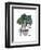 Monstera-Seventy Tree-Framed Giclee Print