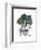 Monstera-Seventy Tree-Framed Giclee Print