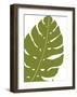 Monstera-Trish Sierer-Framed Art Print