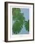 Monstera-Annika John-Framed Giclee Print