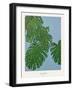 Monstera-Annika John-Framed Giclee Print