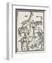 Monsters of Asia-Erhard Renwieh-Framed Art Print