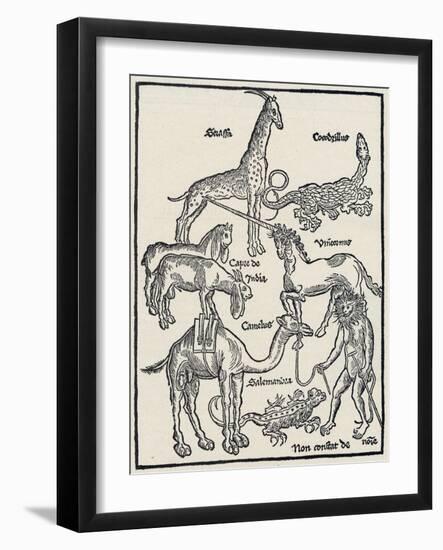 Monsters of Asia-Erhard Renwieh-Framed Art Print